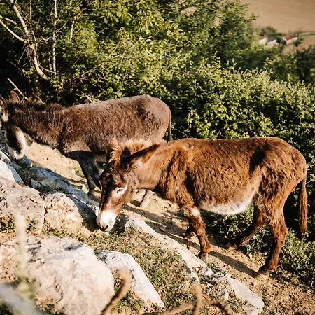 Le Bivouac Bivouacbyalain Gasthuis 4*