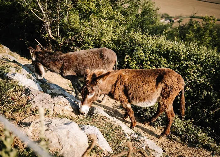 Le Bivouac Bivouacbyalain Gasthuis 4*